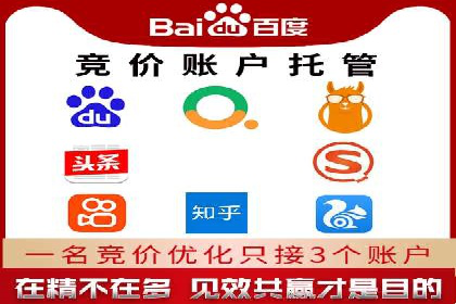 某电商平台的SEM策略与效果展示